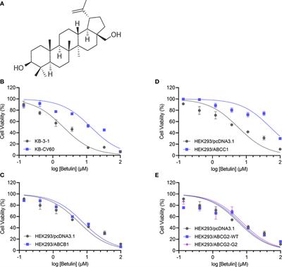 Overexpression of ABCC1 Confers Drug Resistance to Betulin